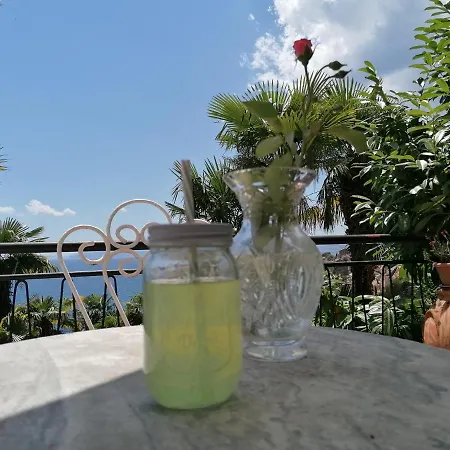 K&m Apartament